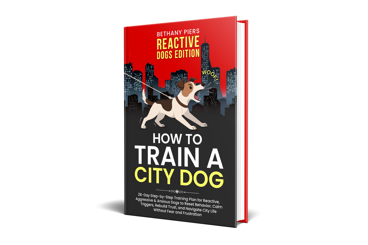 How to Train a City Dog