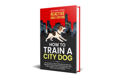 How to Train a City Dog