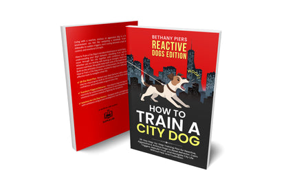How to Train a City Dog