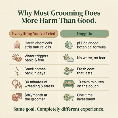 Fresh Coat Mist Brush