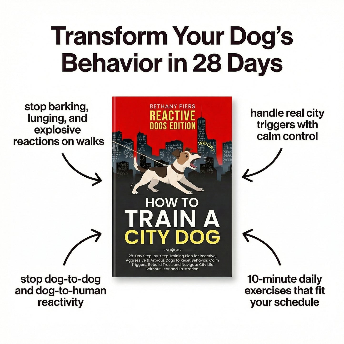 How to Train a City Dog